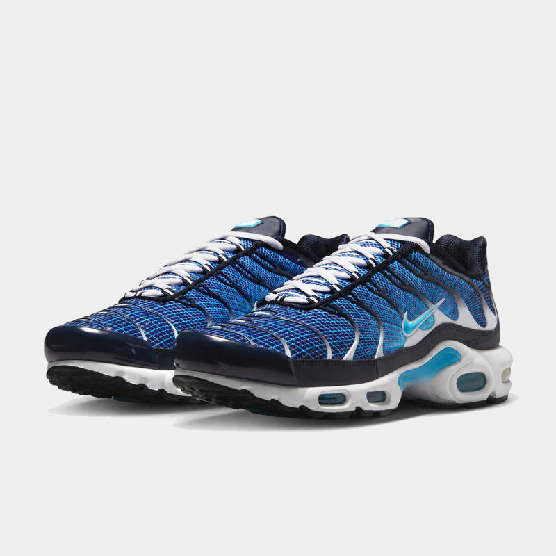 Nike Air Max Plus Dark Obsidian