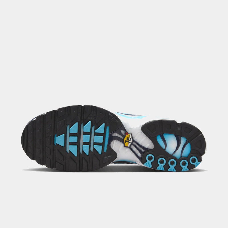 Nike Air Max Plus Dark Obsidian