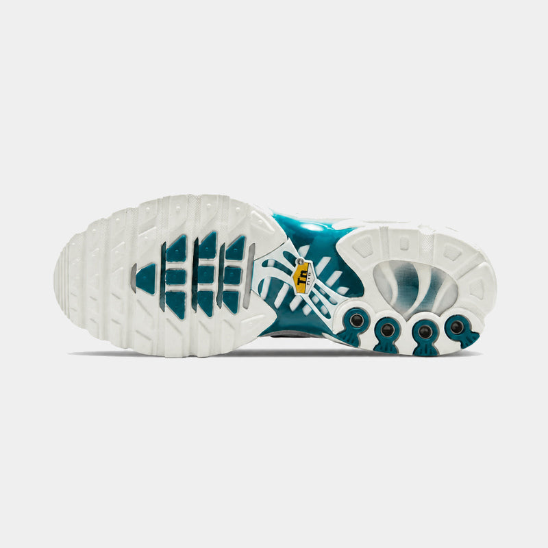 Nike Air Max Plus White Metallic Blue